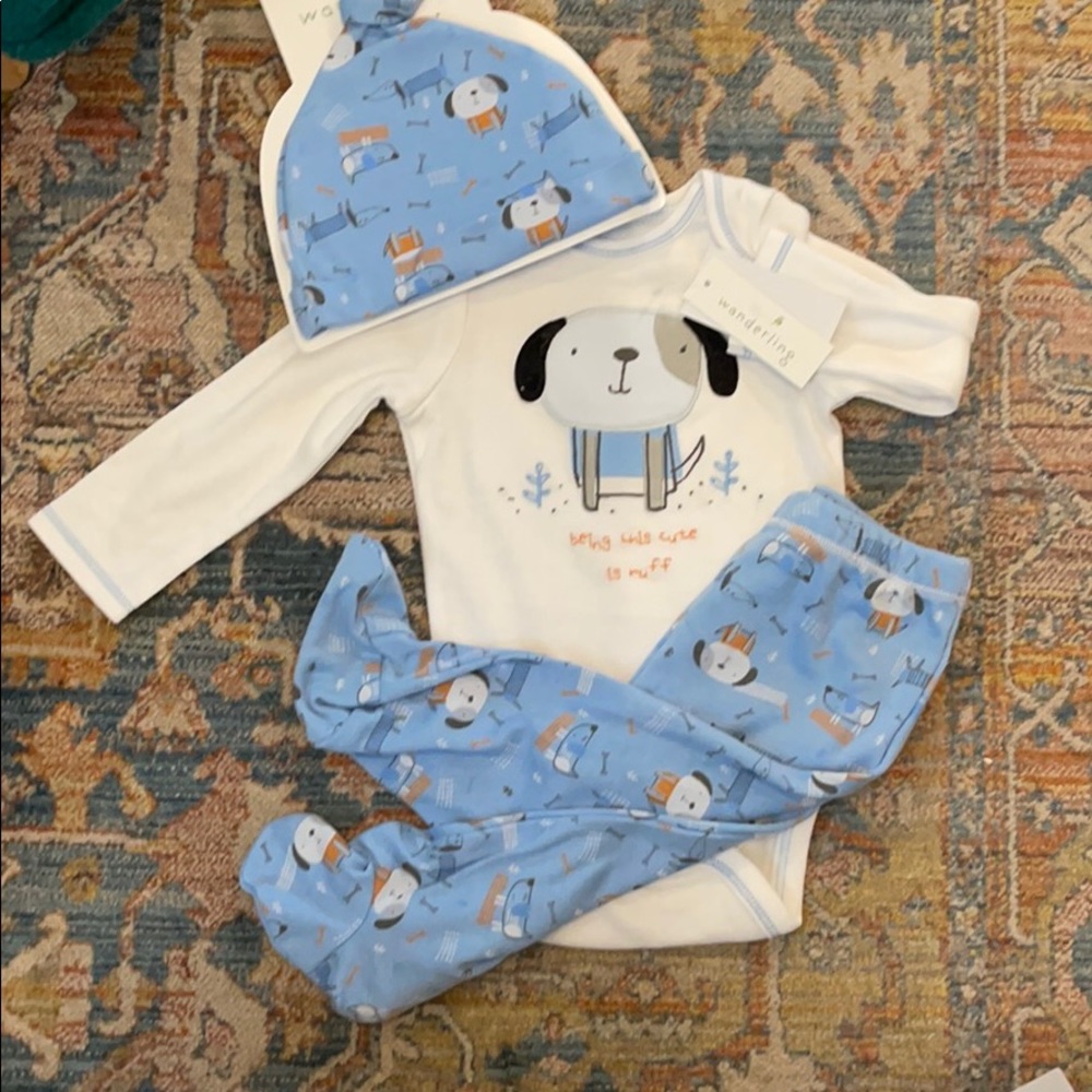 3 piece dog baby set 9 months